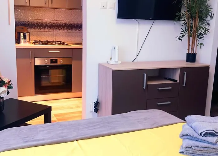 Ben's Cosy In 公寓 布加勒斯特