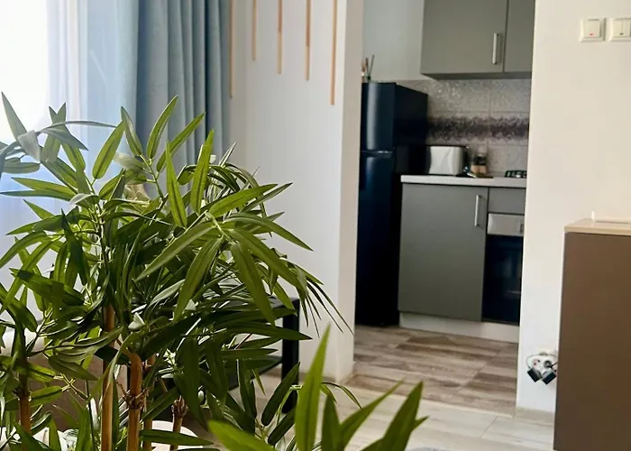 公寓 Ben's Cosy In 布加勒斯特