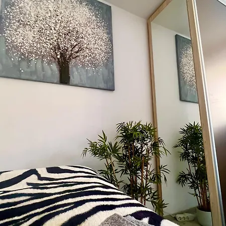 公寓 Ben's Cosy In