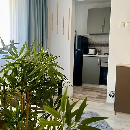 公寓 Ben's Cosy In 布加勒斯特
