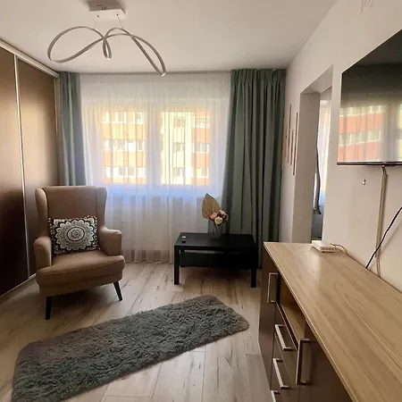 Ben's Cosy In Bucarest